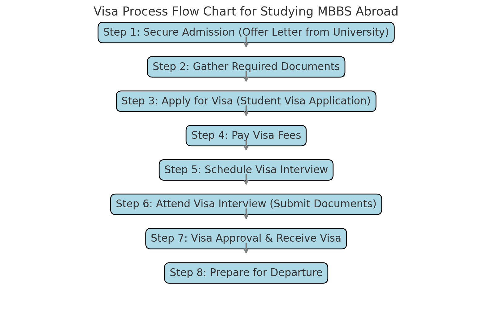 Visa Process Flowchart